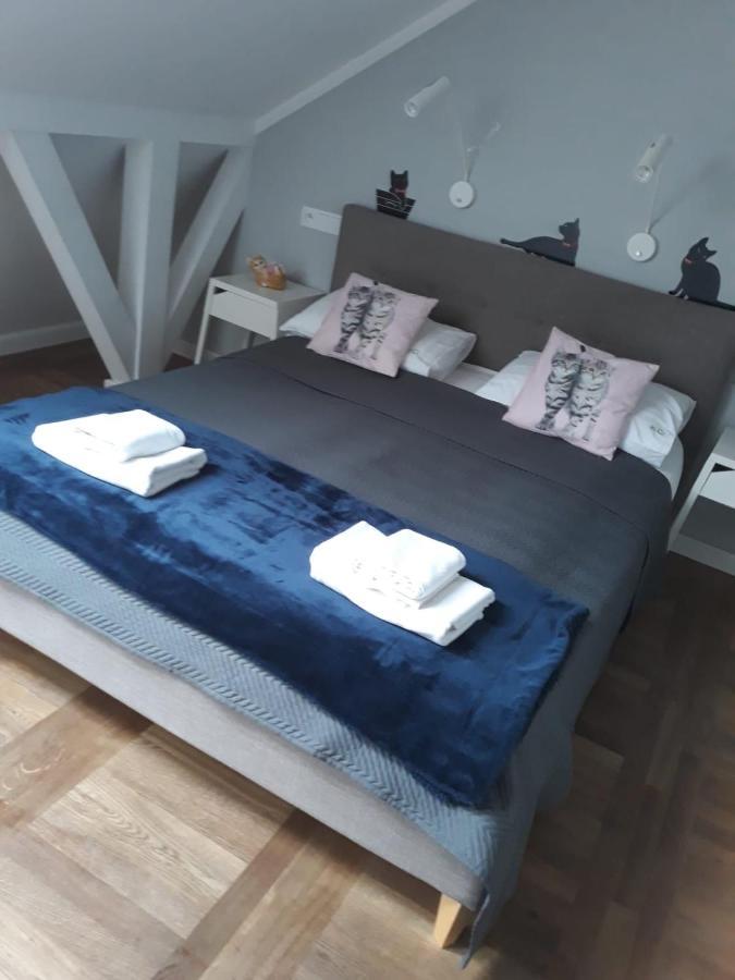 Apartamenty Koci Ogon Torun Exterior photo