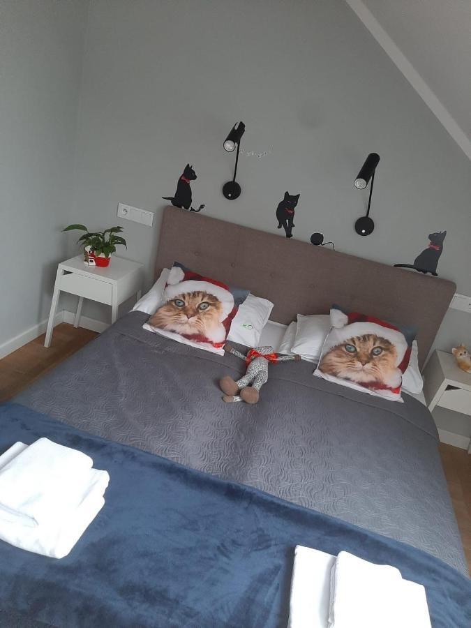 Apartamenty Koci Ogon Torun Exterior photo